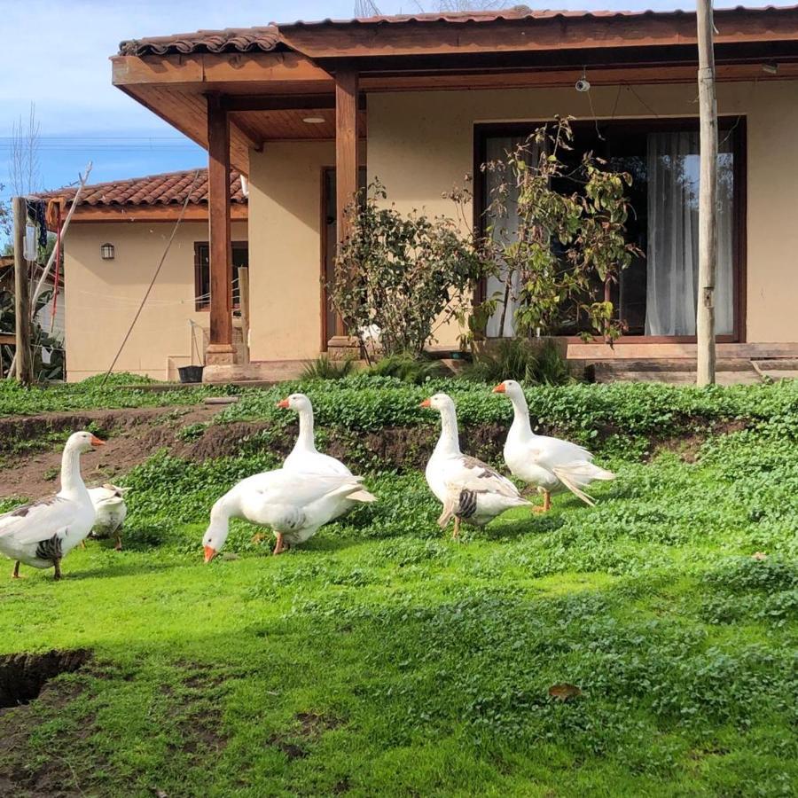 Alojamiento Los Nogales Santa Cruz Ngoại thất bức ảnh