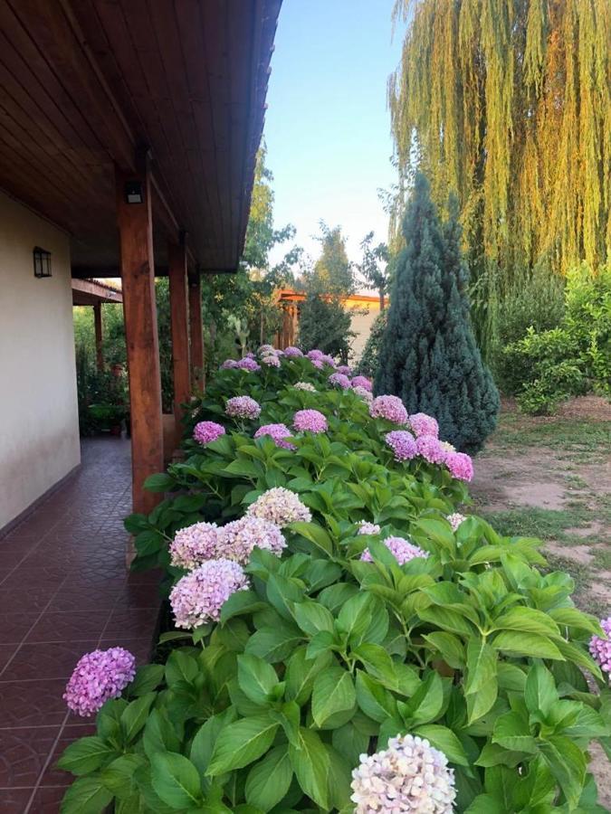 Alojamiento Los Nogales Santa Cruz Ngoại thất bức ảnh